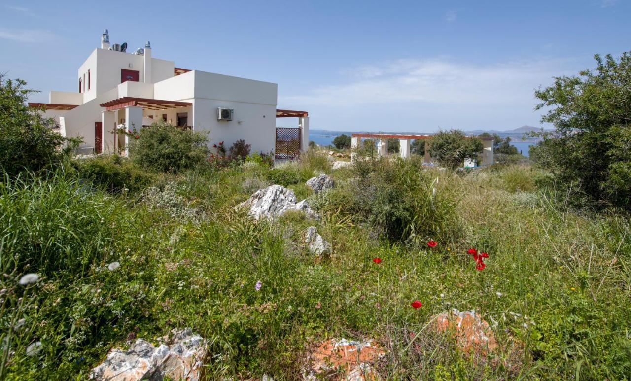 Villa Phenωmena Apartments Kokkino Chorio Exterior photo